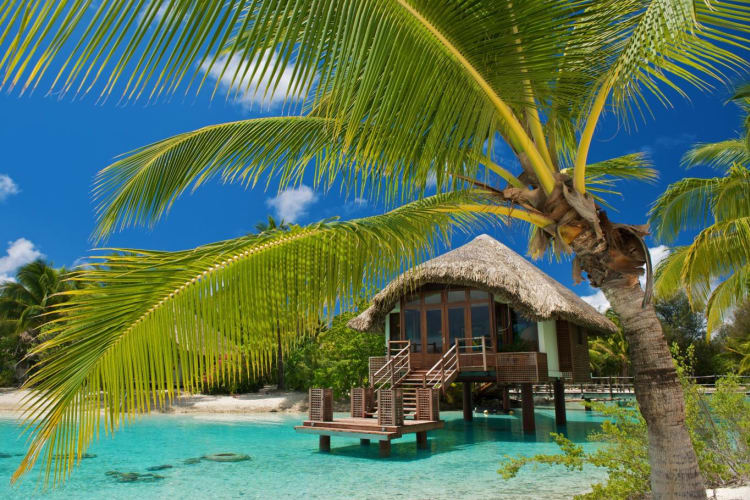 Le Meridien Bora Bora Wedding Chapel